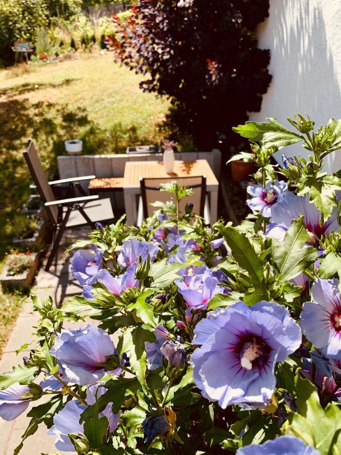 Ferienwohnung „Hygge“ In Liebenburg Eksteriør billede